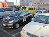 IMG_7181.JPG