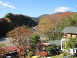 IMG_7340.JPG