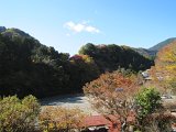 IMG_7341.JPG