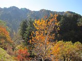 IMG_7342.JPG