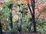 IMG_7399.JPG