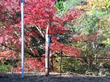 IMG_7400.JPG