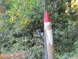 IMG_7406.JPG