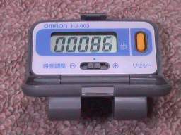 PEDOMETER